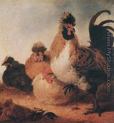 Rooster and Hens - Aelbert Cuyp