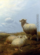Sheep At Pasture - Thomas Sidney Cooper