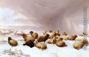 Sheep In Winter - Thomas Sidney Cooper