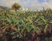 Field Of Banana Trees - Pierre Auguste Renoir