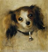 Head Of A Dog - Pierre Auguste Renoir