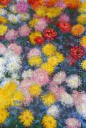 Chrysanthemums3 - Claude Oscar Monet