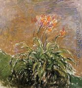 Hamerocallis - Claude Oscar Monet