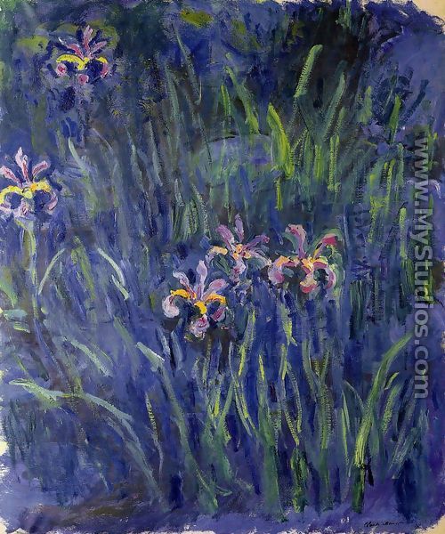 Irises3 - Claude Oscar Monet