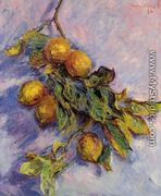 Lemons On A Branch - Claude Oscar Monet