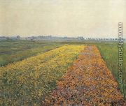 The Yellow Fields At Gennevilliers - Gustave Caillebotte