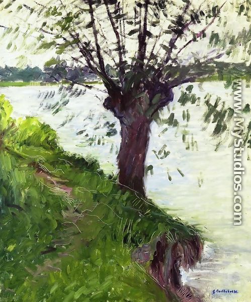 Willow On The Banks Of The Seine - Gustave Caillebotte