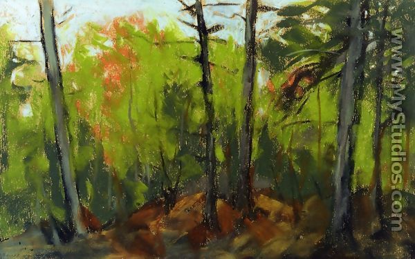 Woodland Scene  Monhegan  Maine - Robert Henri