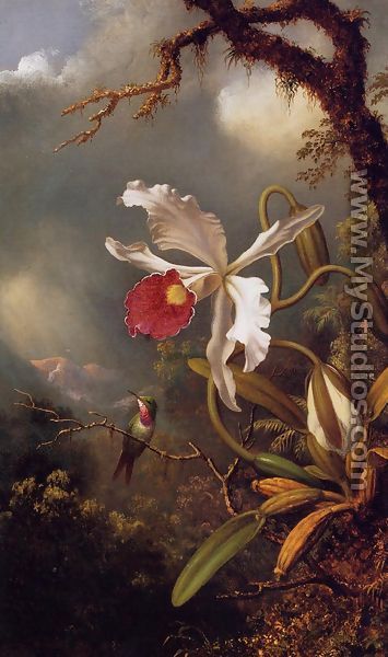 An Amethyst Hummingbird With A White Orchid - Martin Johnson Heade