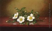 Cherokee Roses On A Shiney Table - Martin Johnson Heade