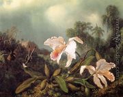Jungle Orchids And Hummingbirds - Martin Johnson Heade