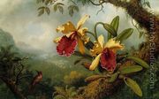Orchids And Hummingbird - Martin Johnson Heade