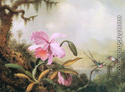 Orchids And Hummingbirds4 - Martin Johnson Heade