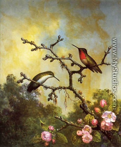 Ruby Throated Hummingbirds With Apple Blossoms - Martin Johnson Heade