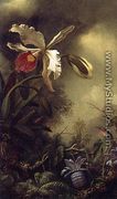 White Orchid And Hummingbird - Martin Johnson Heade