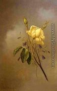 White Rose Against A Cloudy Sky - Martin Johnson Heade