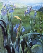 Blue Iris  Study - John La Farge