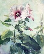 Study Of Pink Hollyhock In Sunlight  From Nature - John La Farge