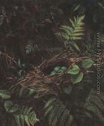Bird's Nest and Ferns, 1863 - Fidelia Bridges