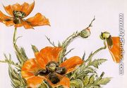 Poppies 1929 - Charles Demuth
