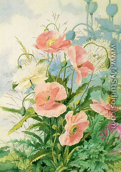 Poppies 1889 - Ellen Bowditch Thayer Fisher