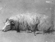 Study of a Sheep 1757-59 - Thomas Gainsborough