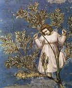 No. 26 Scenes from the Life of Christ- 10. Entry into Jerusalem (detail) 1304 - Giotto Di Bondone