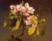 Apple Blossoms - Martin Johnson Heade