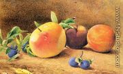 Study of Fruit  1877 - John William Hill