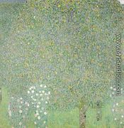 Roses Under the Trees  1905 - Gustav Klimt