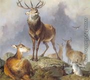Scene in Braemar- Highland Deer  1857 - Sir Edwin Henry Landseer