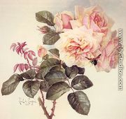 Roses - Paul De Longpre