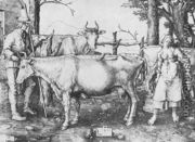 Milk-maid  1510 - Lucas Van Leyden