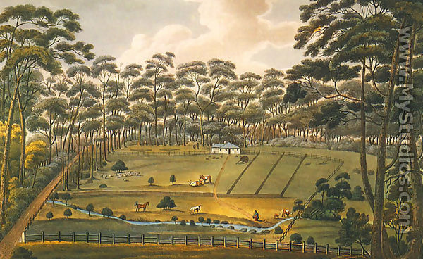 Raby - a Farm Belonging to Alexander Riley Esq. NSW - Joseph Lycett