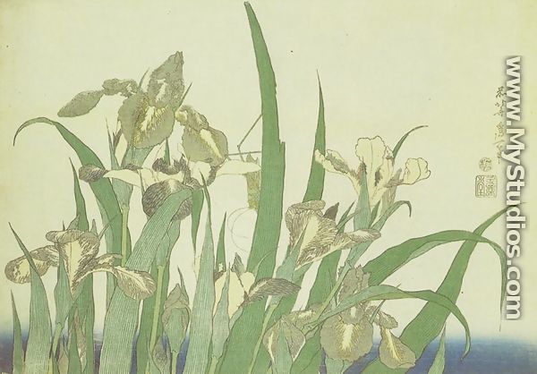 Irises - Katsushika Hokusai