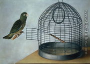 Parrot outside his cage - Cornelis Biltius