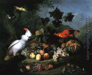 Fruit and Birds - Jakab Bogdany
