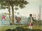 Portrait of Graman Quacy with his discovery Quaciae and the killing of a snake in Surinam, Guiana, illustration from 'Le Costume Ancien et Moderne' - G. Bramati