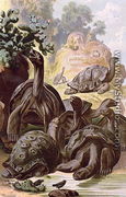 Giant Tortoises from the Galapagos Islands, from a natural history book, 1887 - Alfred Brehm