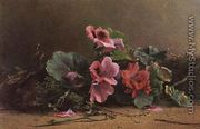 A Study of Geraniums - Hector Caffieri