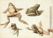 Four Studies of Frogs - Jacob de II Gheyn