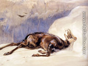 The Chamois, Sketched In The Tyrol - John Frederick Lewis