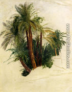 Study Of Palm Trees - Edward Lear