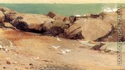 Rocky Coast and Gulls - Winslow Homer