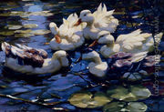 Five Ducks In A Pond - Willem Koekkoek