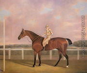 Memnon, a Chestnut Racehorse, with Jockey up - Clifton Tomson