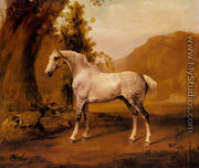 A Grey Stallion In A Landscape - George Stubbs