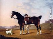 A Gentleman With A Bay Hunter And Spaniel In A Coastal Landscape - Francis Stringer