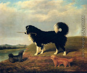 A Spaniel And Two Norfolk Terriers In A Landscape - James Loder
