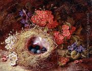 Still life of a bird's nest and blossom - Vincent Clare